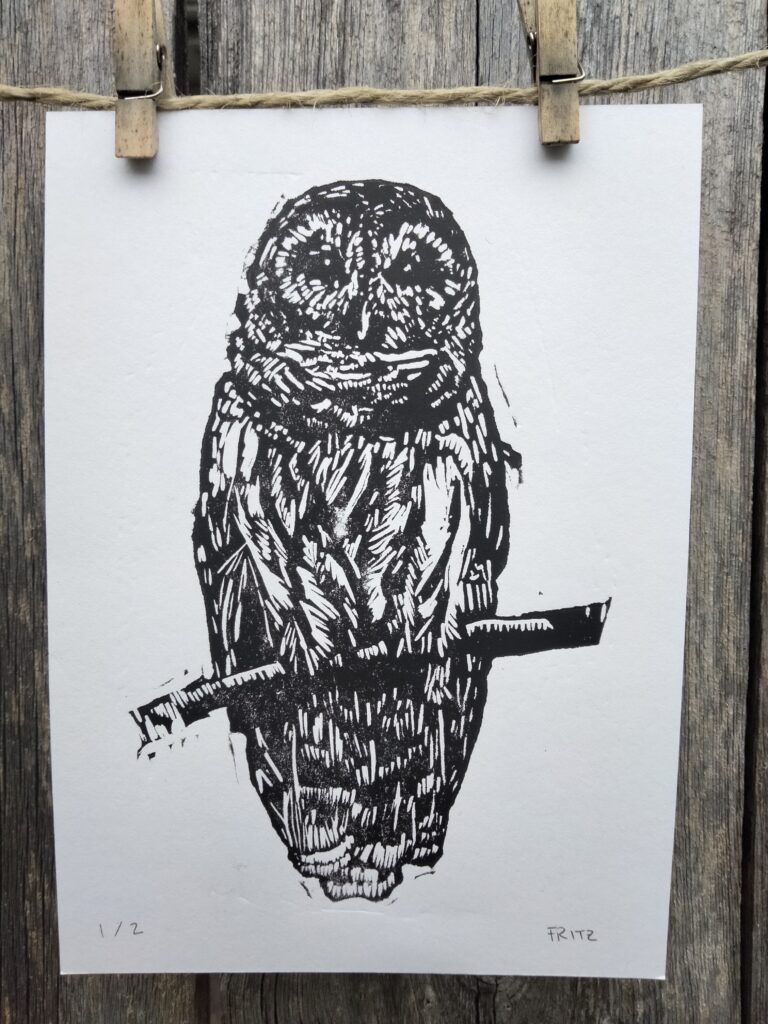 Barred Owl Block Print
