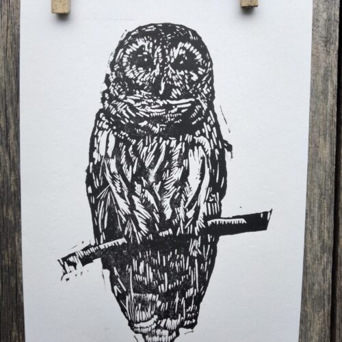 Barred Owl Block Print