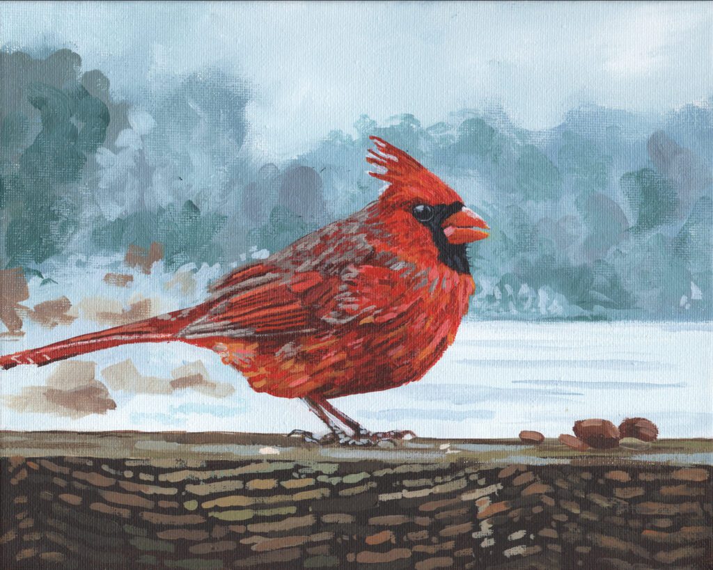 Mr. Cardinal
