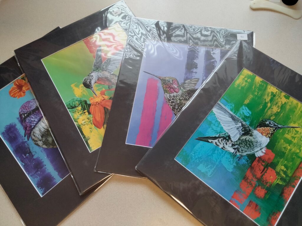 Hummingbird Four-Pack