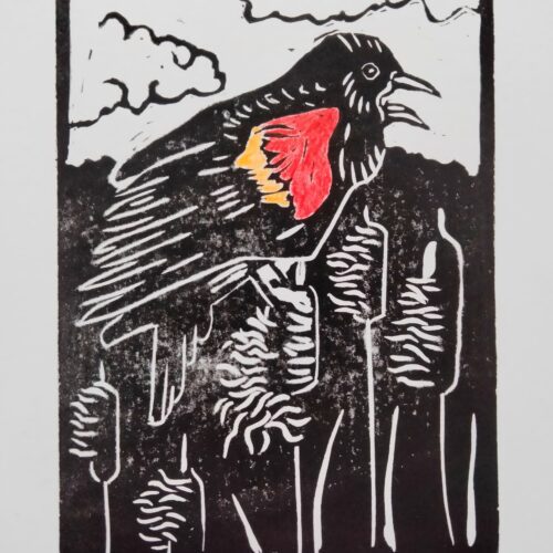 Red Winged Blackbird