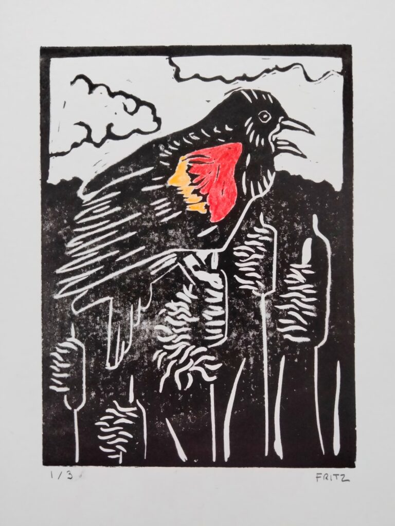 Red Winged Blackbird