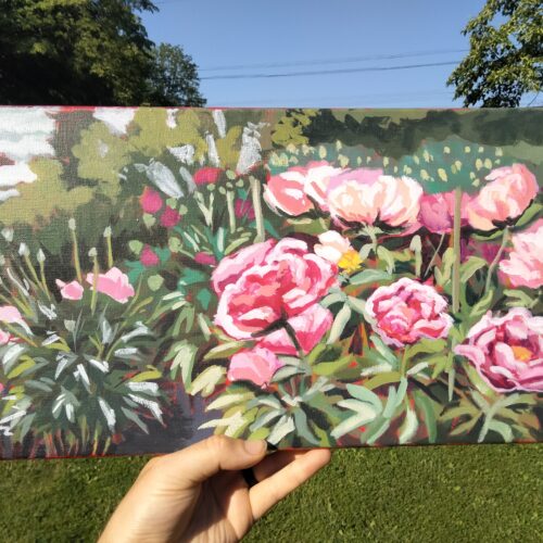2026 Peony Fields