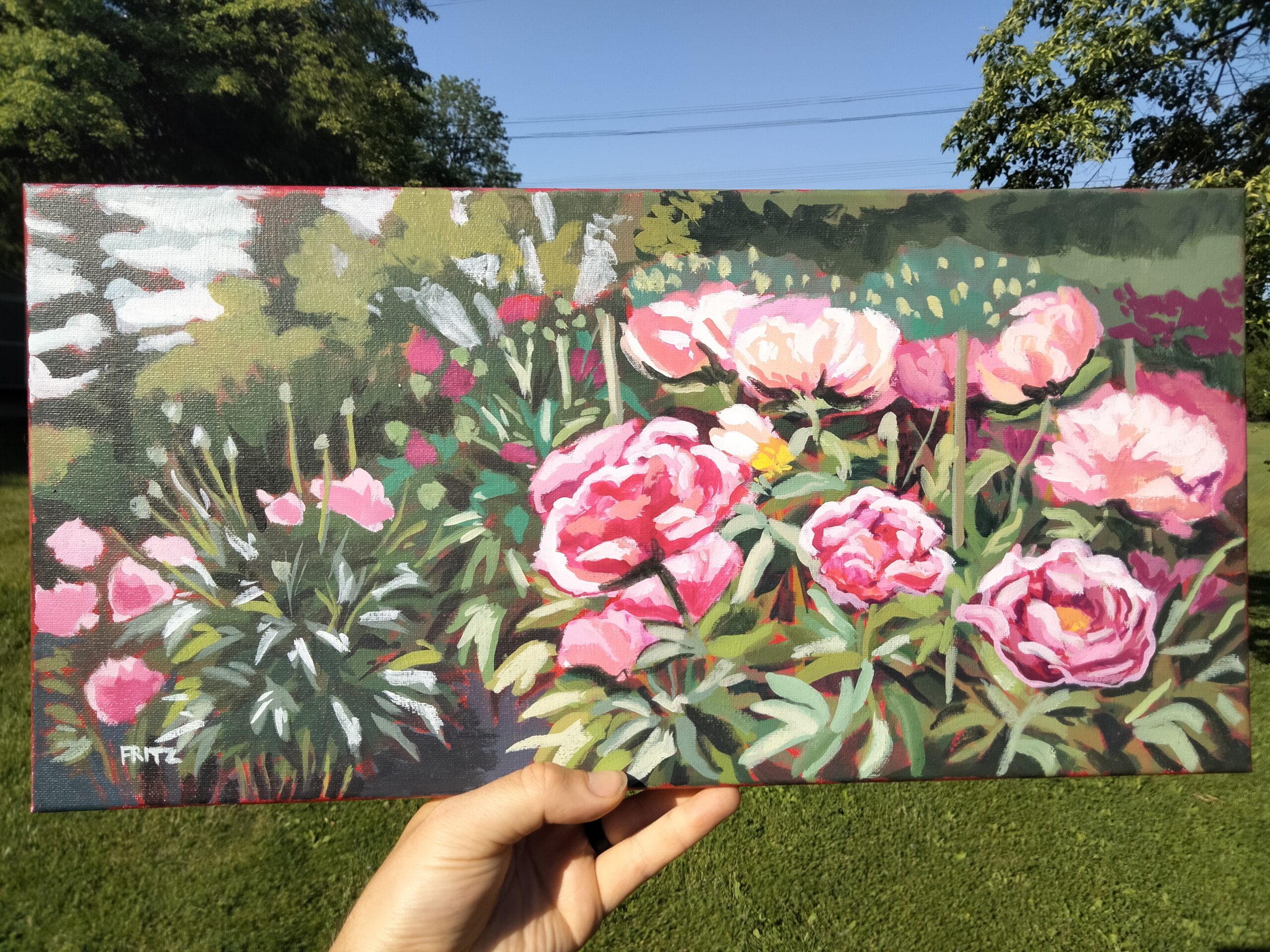 2026 Peony Fields