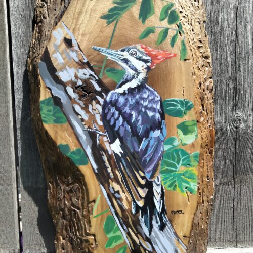 The Woods: Pileated Woodpecker
