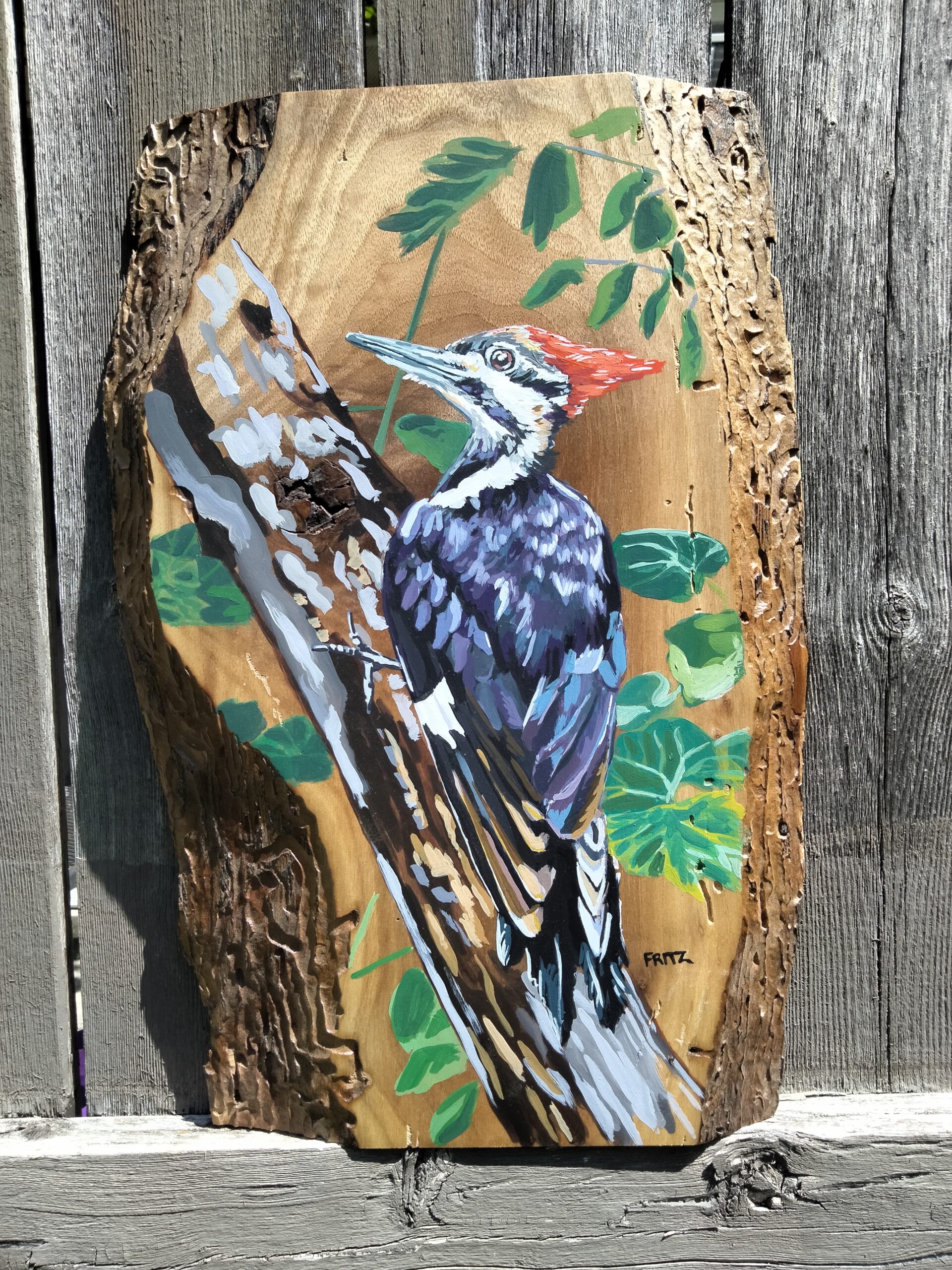 The Woods: Pileated Woodpecker