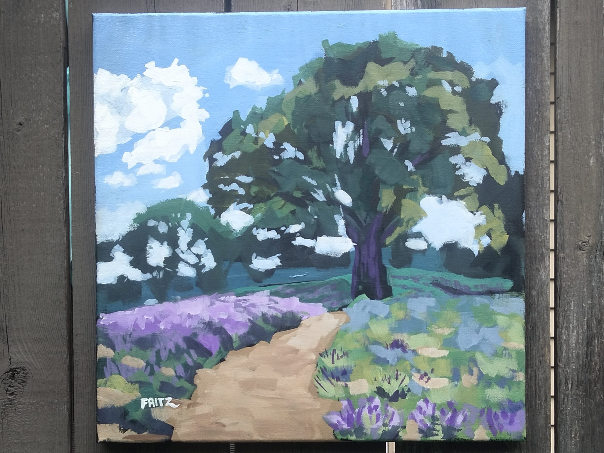 Ocimeae Lavender Farm (2026)
