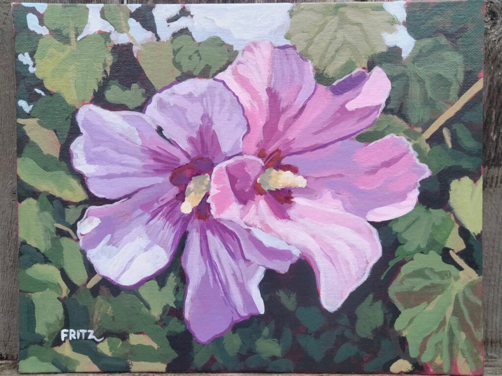 Rose of Sharon on Crane st.