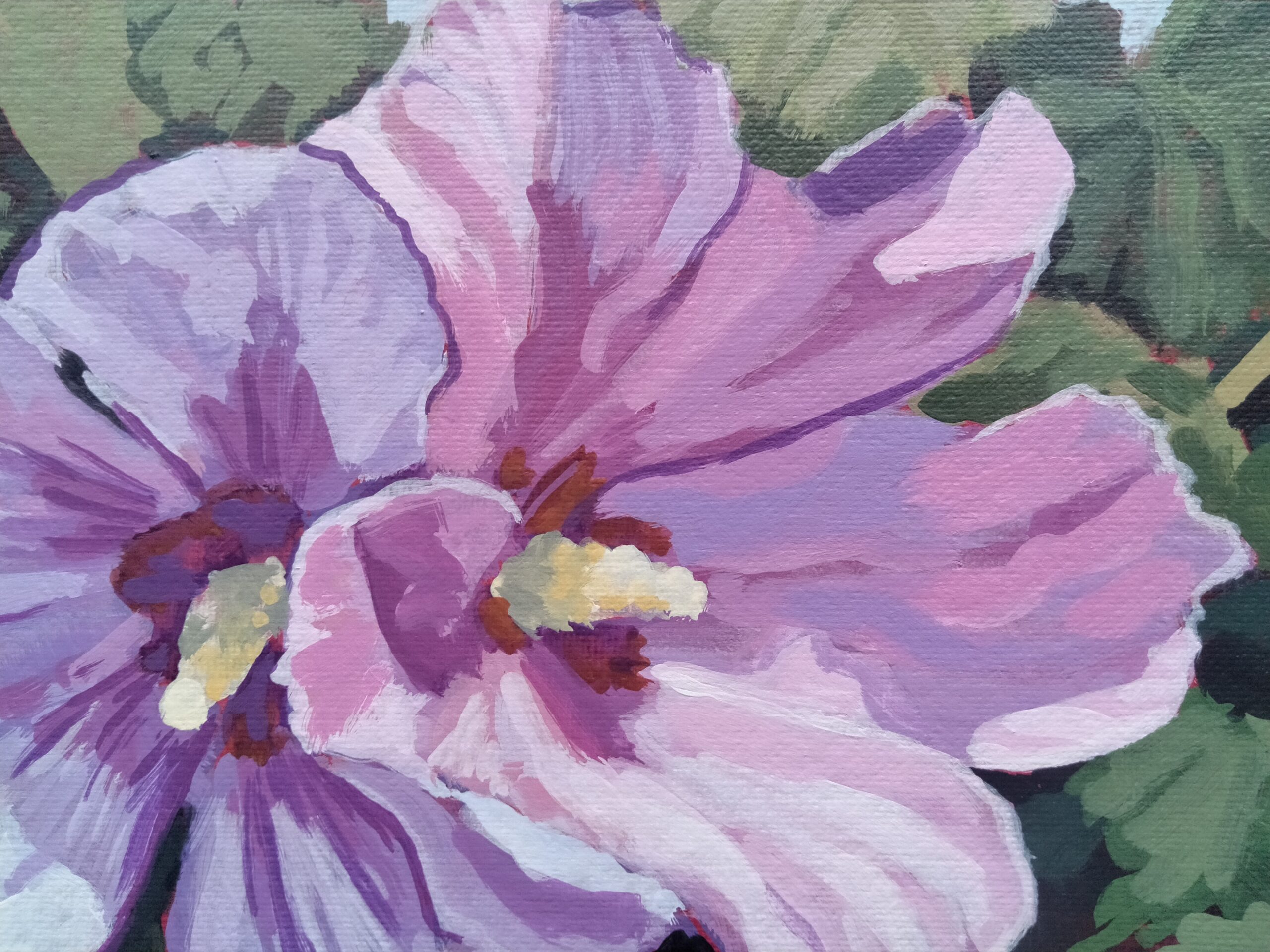 Rose of Sharon on Crane st. - Image 3