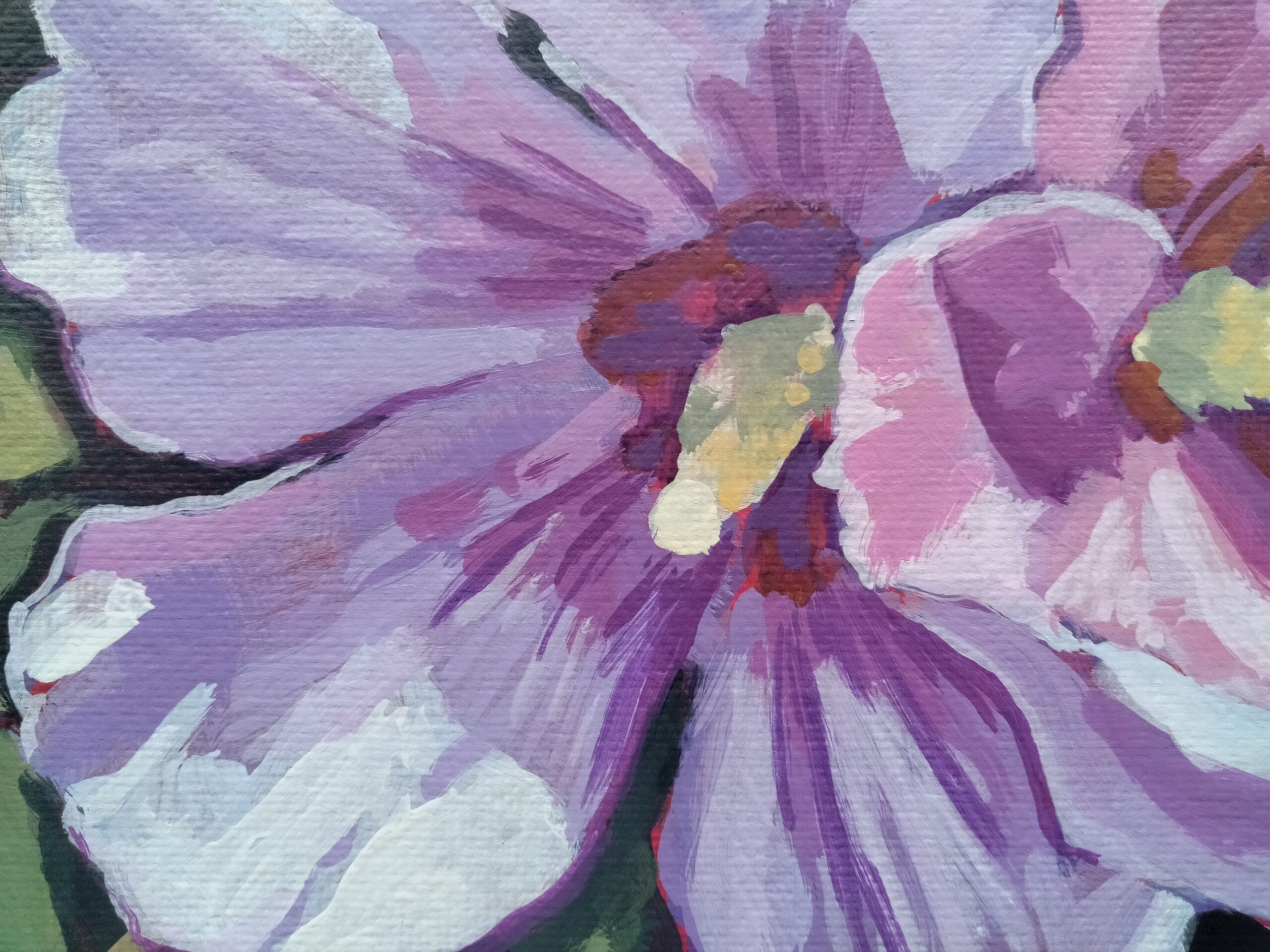 Rose of Sharon on Crane st. - Image 4