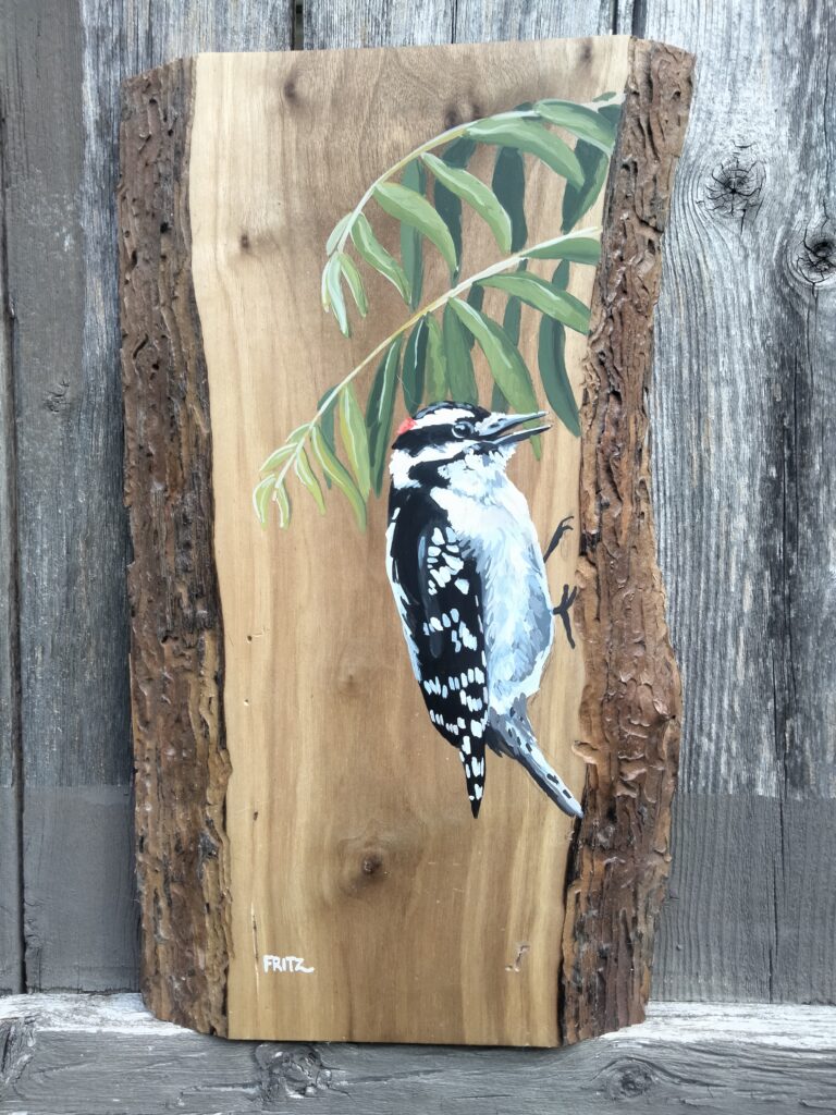 The Woods: Hairy Woodpecker